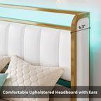 LIKIMIO Armrests Headboard & RGB Light Bed Frame