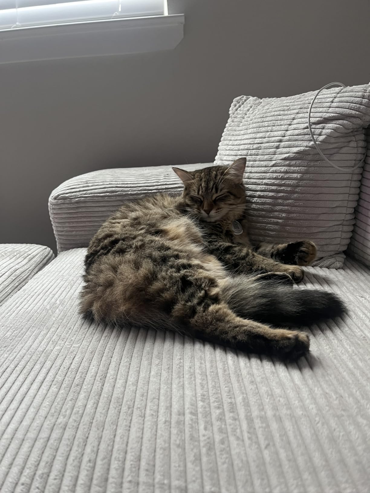 There were no reviews when I ordered this, so I had faith in the stock photos.